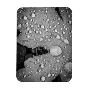 Pitter Patter -- 3" x 4" Flexible Photo Magnet