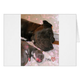 Pittie Love