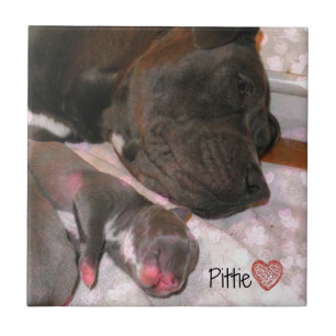 Pittie Love Ceramic Tile