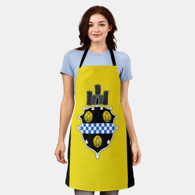 Pittsburgh City flag Apron (Worn)