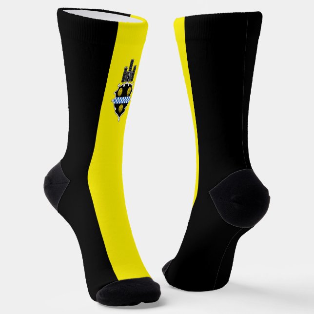 Pittsburgh (Pennsylvania) city flag Socks (Angled)