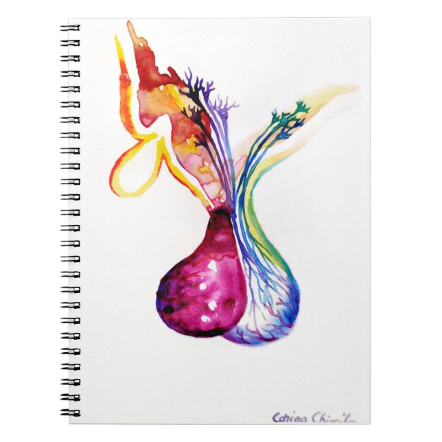 Pituitary structure notebook (Front)