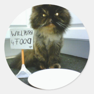 Pity Kitty Will Purr For Food Classic Round Sticker