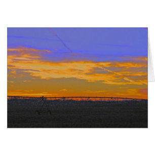 Pivot in Sunset 2