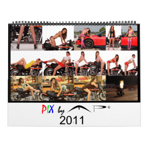 PIX by MP 2011 Calendar
