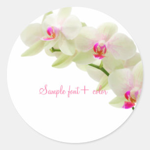 PixDezine maui pink orchid Classic Round Sticker