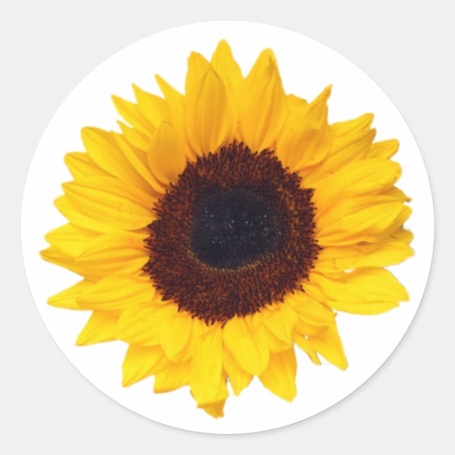 PixDezine Yellow Sunflower Envelope Sealer Classic Round Sticker (Front)