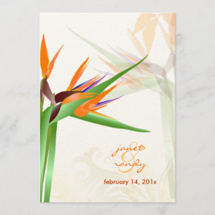 PixDezines BIRD OF PARADISE/DIY Background Colour Invitation