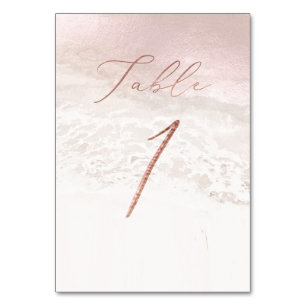 PixDezines Blush Coastal Elegant Calligraphy No 1+ Table Number
