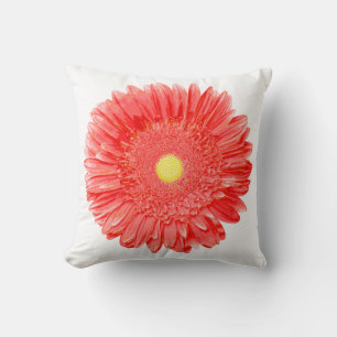 PixDezines gerbera daisies/diy background Cushion