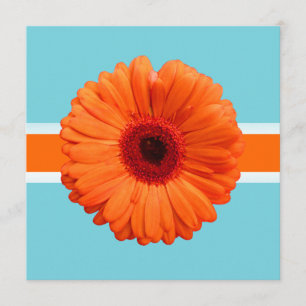 PixDezines Gerbera, orange/diy background colours Invitation