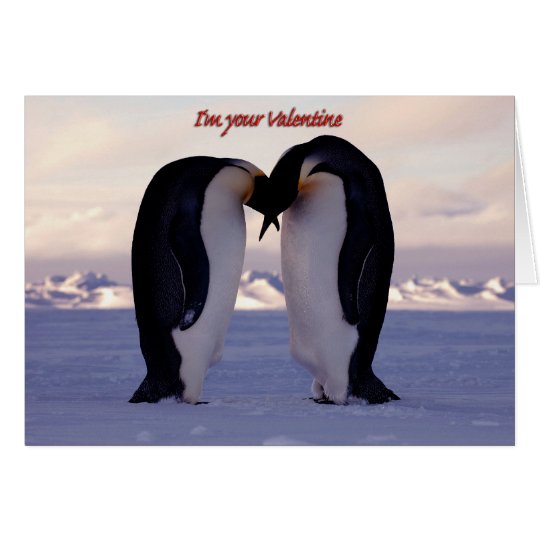 PixDezines Kissing Emperor Penguin Valentine's Card