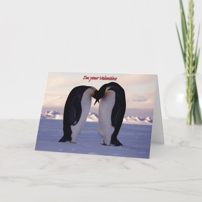 PixDezines Kissing Emperor Penguin Valentine's Holiday Card (Front)