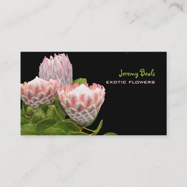 PixDezines maui protea ♥♥♥ Business Card (Front)