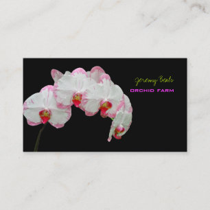 PixDezines orchid/diy background colour♥♥♥ Business Card