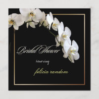 PixDezines orchids/phalaenopsis