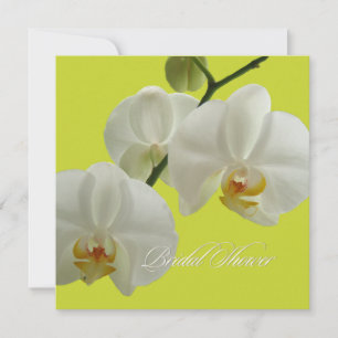 PixDezines orchids/phalaenopsis Invitation