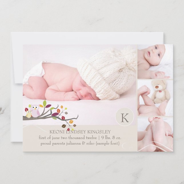 PixDezines owl photo template birth announcement (Front)
