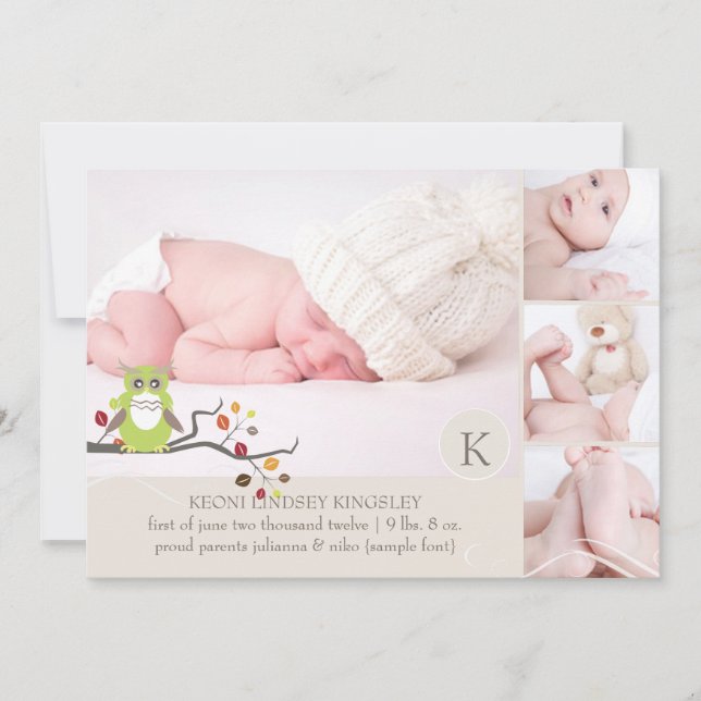 PixDezines owl photo template birth announcement (Front)