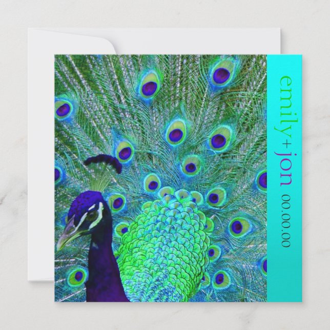 PixDezines peacock feather/aqua/turquoise Invitation (Front)