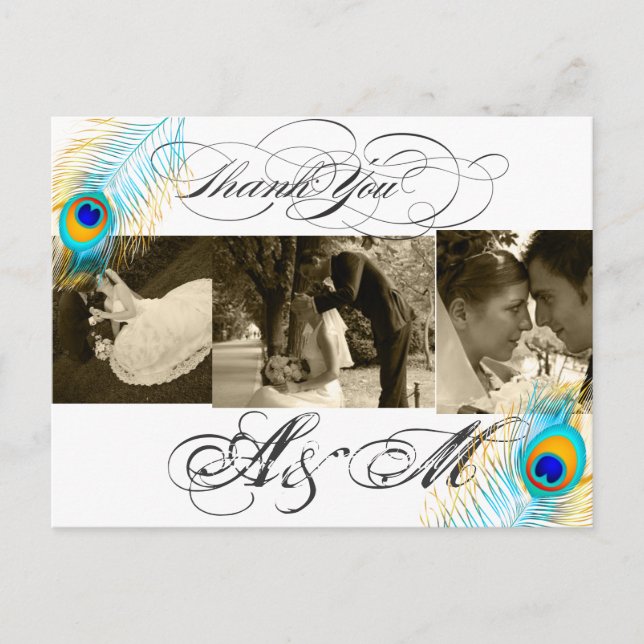 PixDezines Peacock Wedding Photos Thank you Postcard (Front)