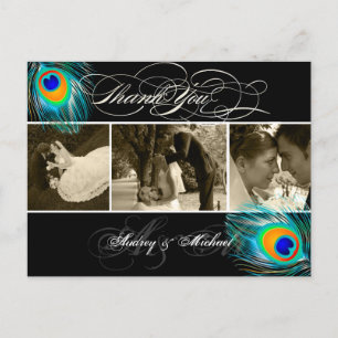 PixDezines Peacock Wedding Photos Thank you Postcard
