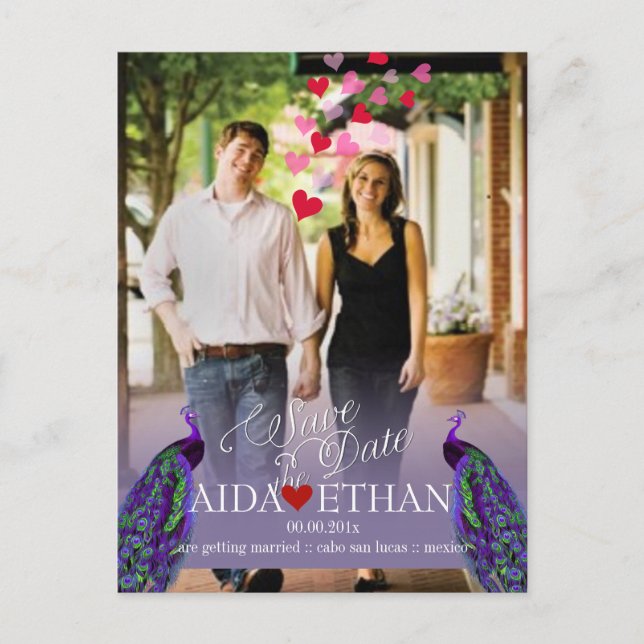 PixDezines photo+peacock/save the date Announcement Postcard (Front)