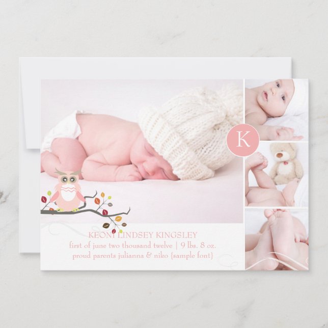 PixDezines pink owl/diy accent colour Announcement (Front)