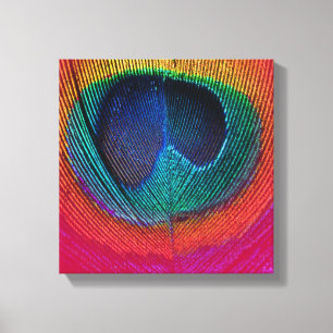 PixDezines Psychedelic Peacock, hot pink, canvas Print