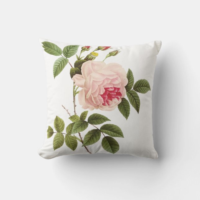 PixDezines redoute roses Cushion (Front)