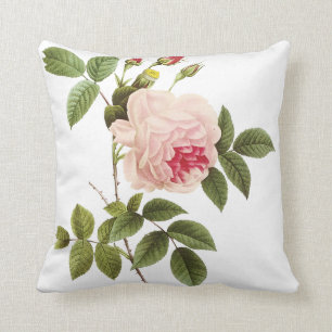 PixDezines redoute roses Cushion