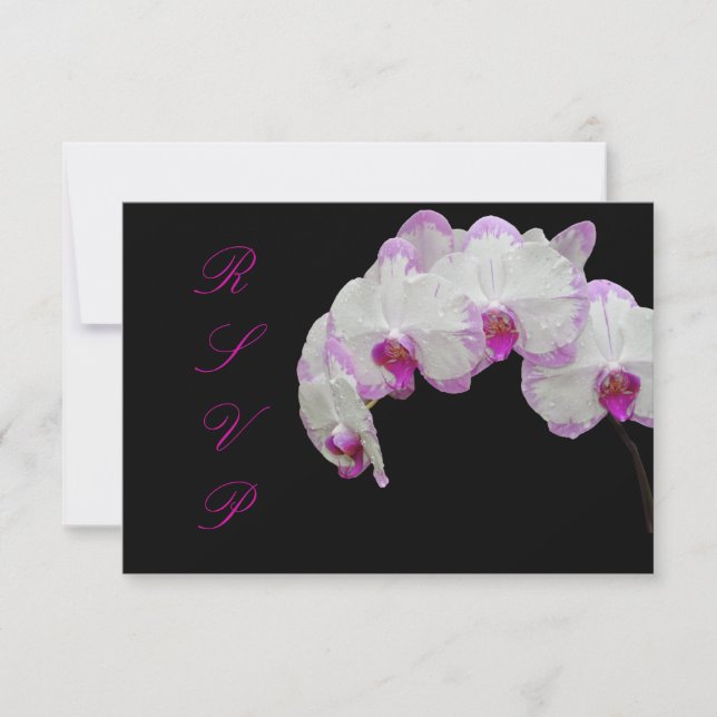 PixDezines rsvp moth orchids/fuschia Card (Front)