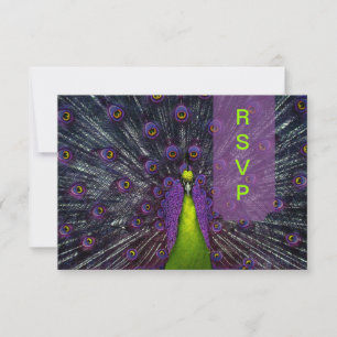 PixDezines rsvp Peacock Feather Card