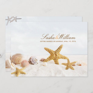 PixDezines Seashells/Beach Invitations