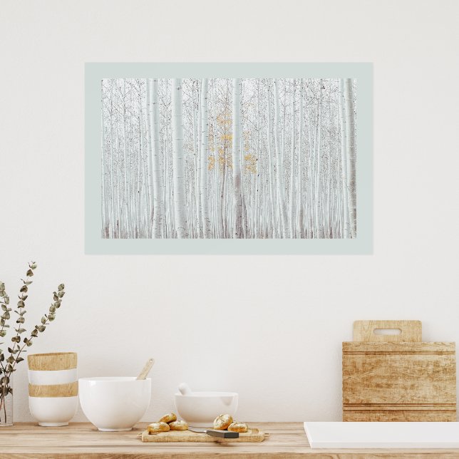 PixDezines Silver Birch Forest DIY Border Colour Poster (Kitchen)