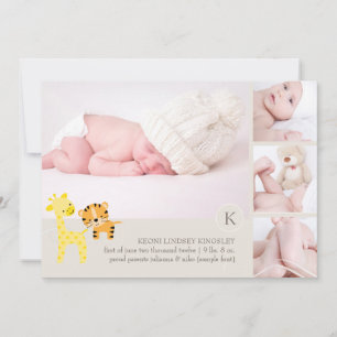 PixDezines tiger giraffe photo birth announcement