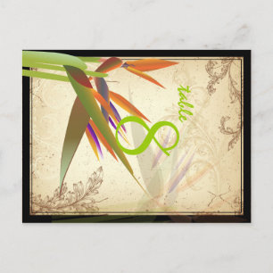 PixDezines vintage bird of paradise/diy font/colou Postcard