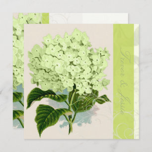 PixDezines vintage green hydrangea Invitation