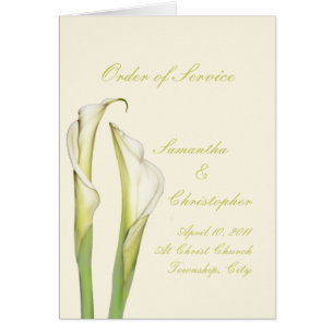 PixDezines white calla lilies/diy background