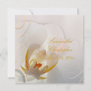 PixDezines White Orchid Pale Pink + White Invitation