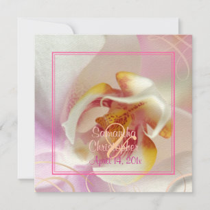 PixDezines White Orchid Pale Pink + White Invitation