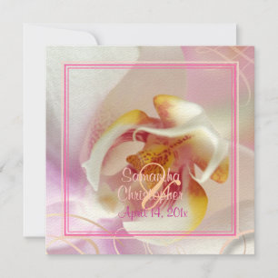 PixDezines White Orchid Pale Pink + White Invitation