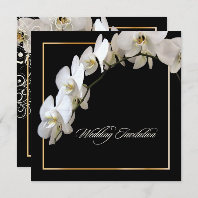 PixDezines WHITE ORCHID/PHALAENOPSIS/DIY colour Invitation (Front/Back)