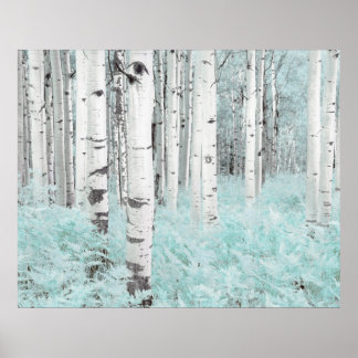 PixDezines Winter Birch Forest Blue Fern Bed Poster