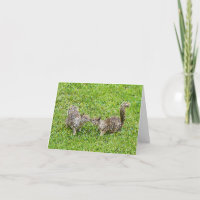 Pixel Art - Two Squirrels