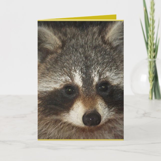 Pixie; one remarkable racoon full of kindness. card (Front)