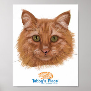 Pixie Portrait Poster