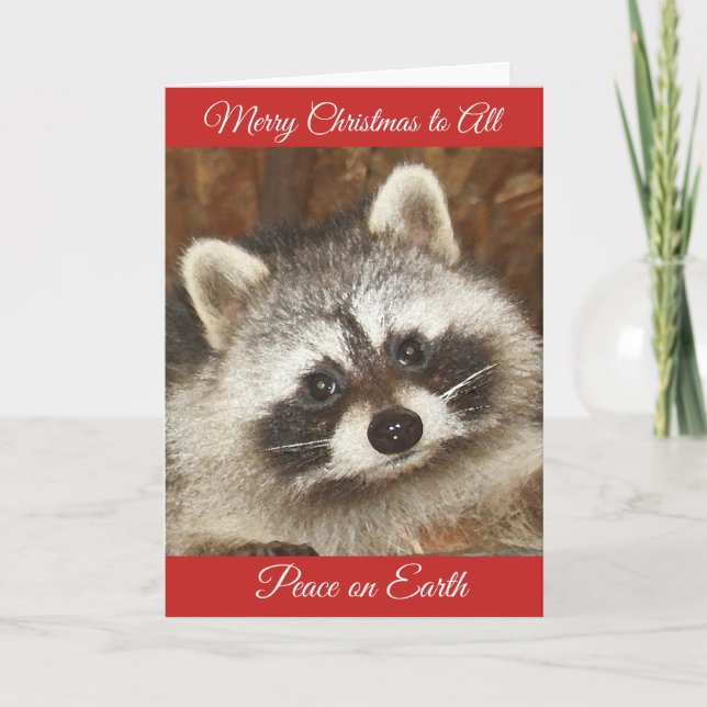 Pixie Racoon Christmas Greetings Holiday Card (Front)