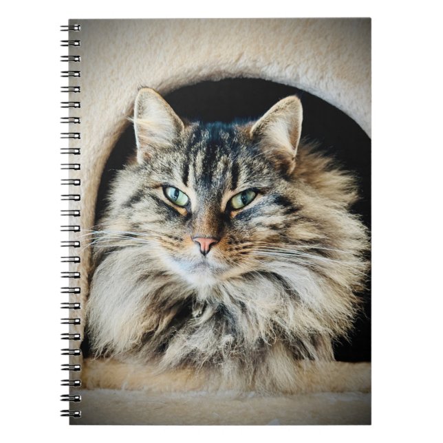 Pixie Spiral Noteboook Notebook (Front)
