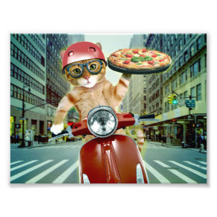 Pizza cat - cat - pizza delivery photo print